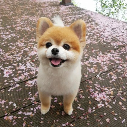 [주문용] 단계할인 - STEP