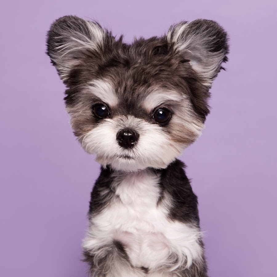 공구99-골라담기-PICK